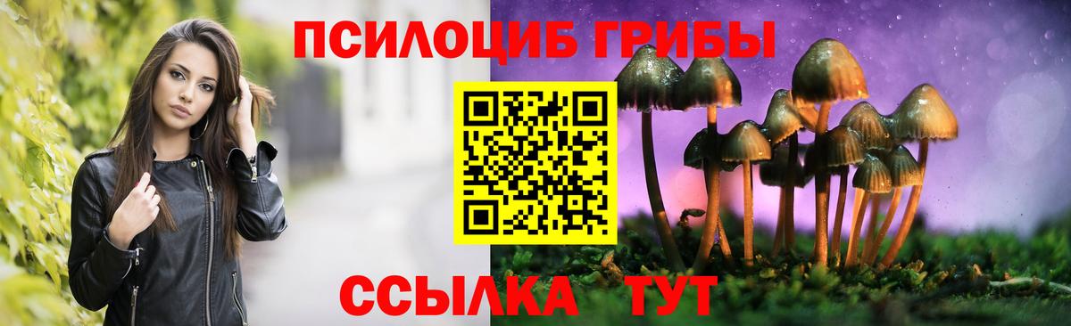 Галлюциногенные грибы MAGIC MUSHROOMS  дарнет шоп  Галлюциногенные грибы прущие грибы  Красноуфимск  Вход с VPN 